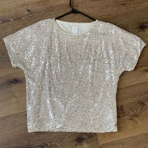 Silver sequin top
